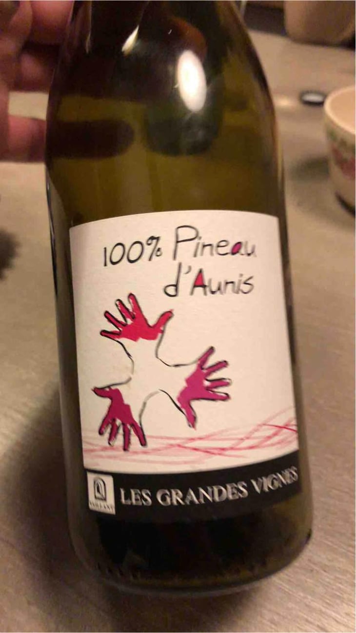 100% Pineau d'Aunis - Les Grandes Vignes - Laurence, Dominique & Jean-François Vaillant 