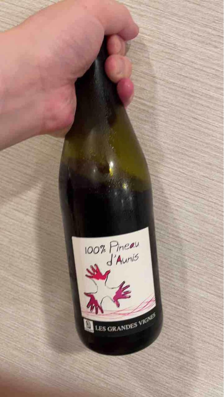 100% Pineau d'Aunis - Les Grandes Vignes - Laurence, Dominique & Jean-François Vaillant 