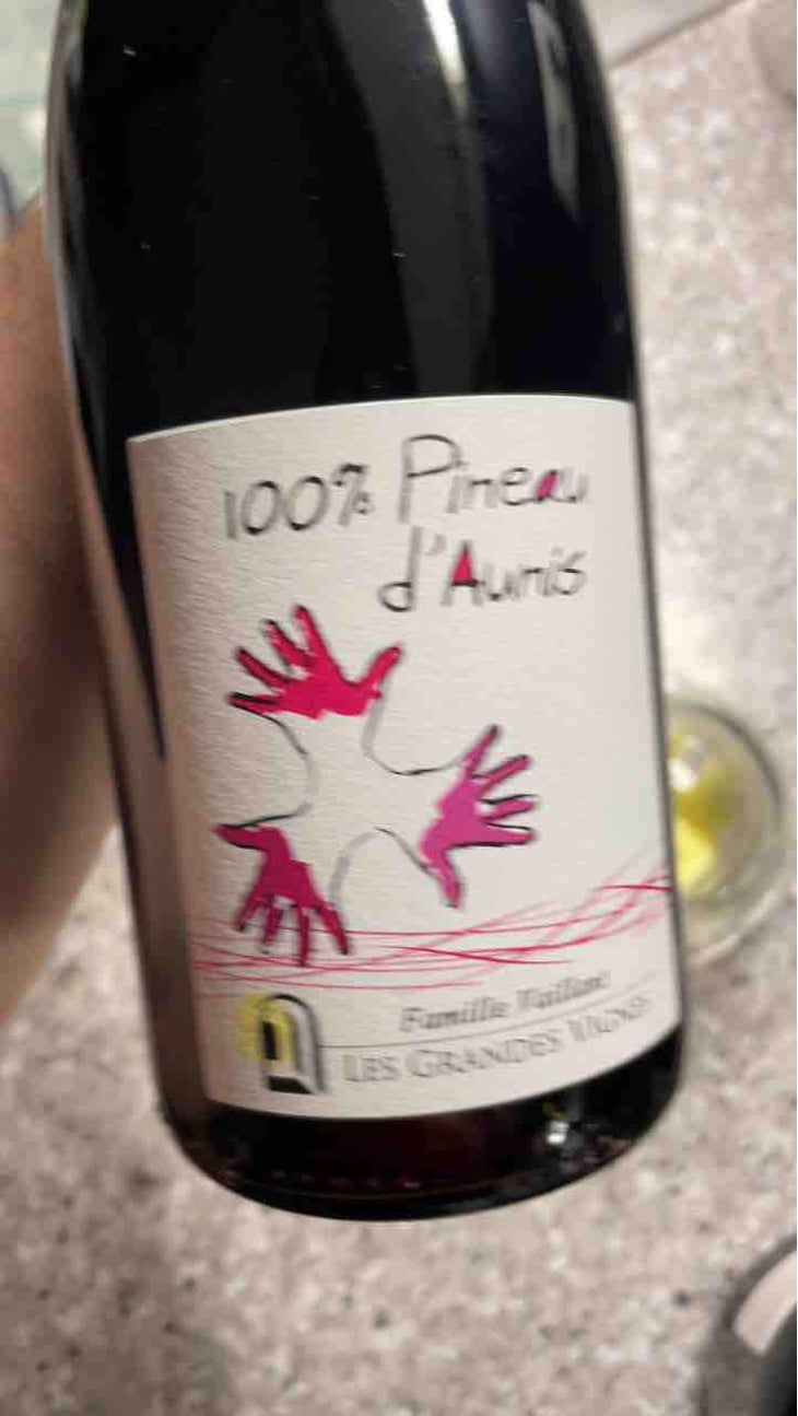 100% Pineau d'Aunis - Les Grandes Vignes - Laurence, Dominique & Jean-François Vaillant 