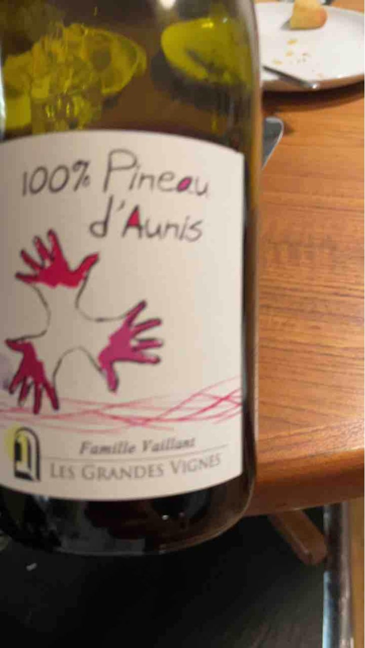 100% Pineau d'Aunis - Les Grandes Vignes - Laurence, Dominique & Jean-François Vaillant 