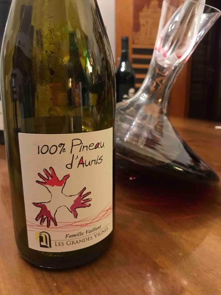 100% Pineau d'Aunis - Les Grandes Vignes - Laurence, Dominique & Jean-François Vaillant 