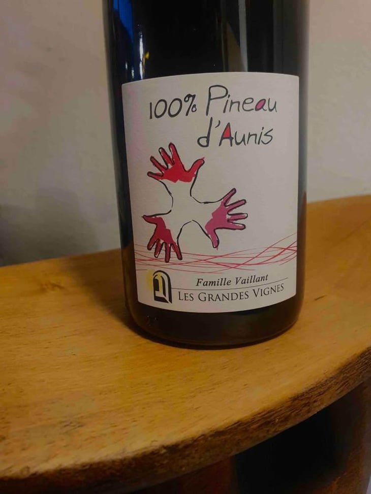 100% Pineau d'Aunis - Les Grandes Vignes - Laurence, Dominique & Jean-François Vaillant 