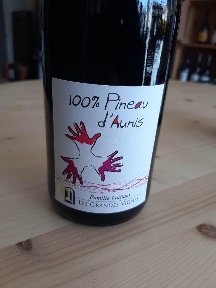 100% Pineau d'Aunis - Les Grandes Vignes - Laurence, Dominique & Jean-François Vaillant 