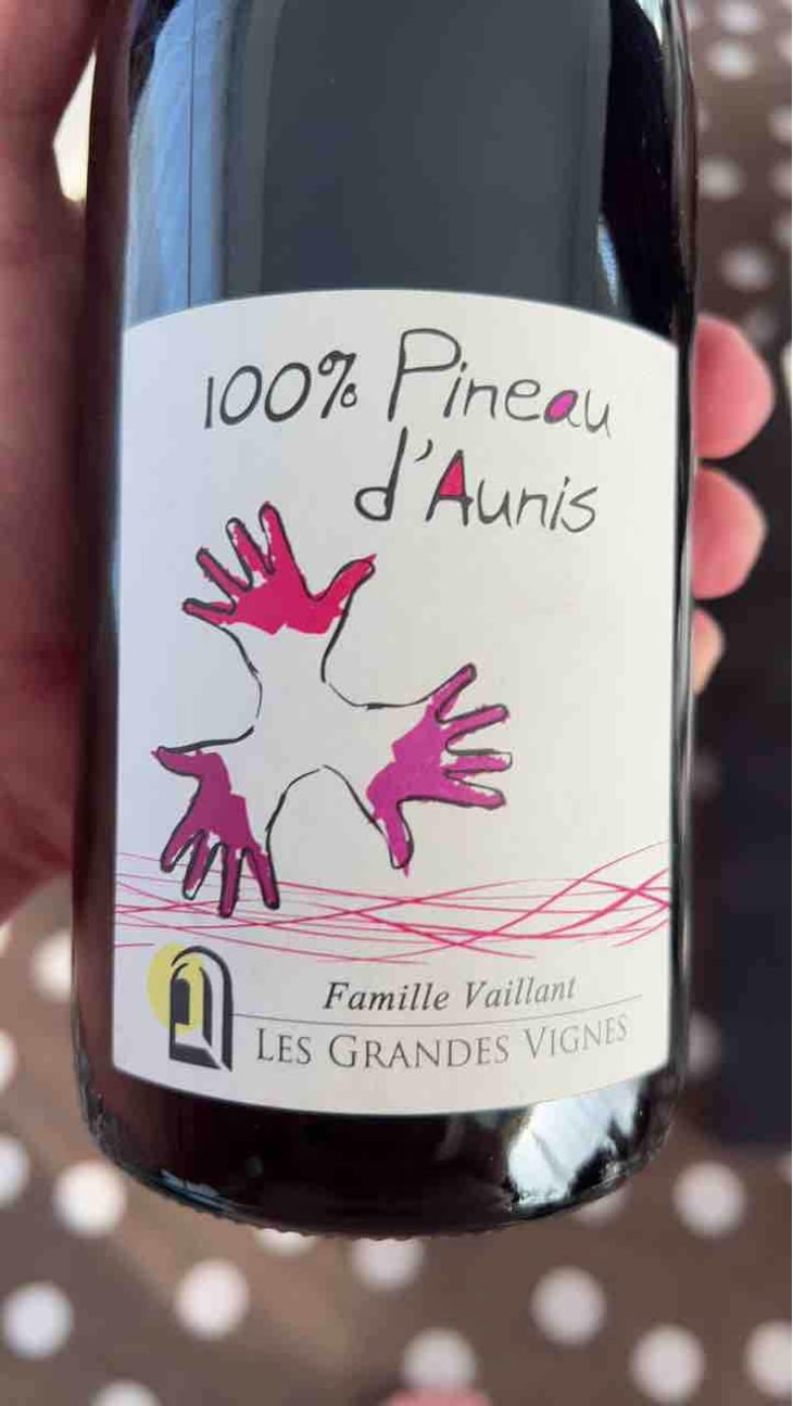 100% Pineau d'Aunis - Les Grandes Vignes - Laurence, Dominique & Jean-François Vaillant 