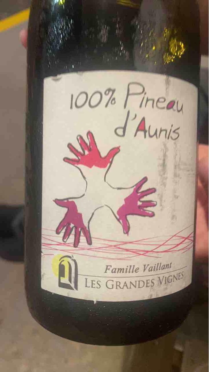 100% Pineau d'Aunis - Les Grandes Vignes - Laurence, Dominique & Jean-François Vaillant 