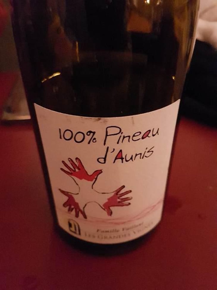100% Pineau d'Aunis - Les Grandes Vignes - Laurence, Dominique & Jean-François Vaillant 