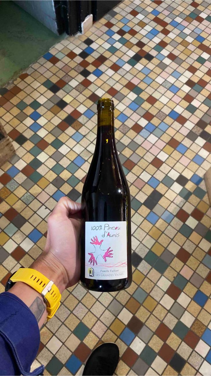 100% Pineau d'Aunis - Les Grandes Vignes - Laurence, Dominique & Jean-François Vaillant 