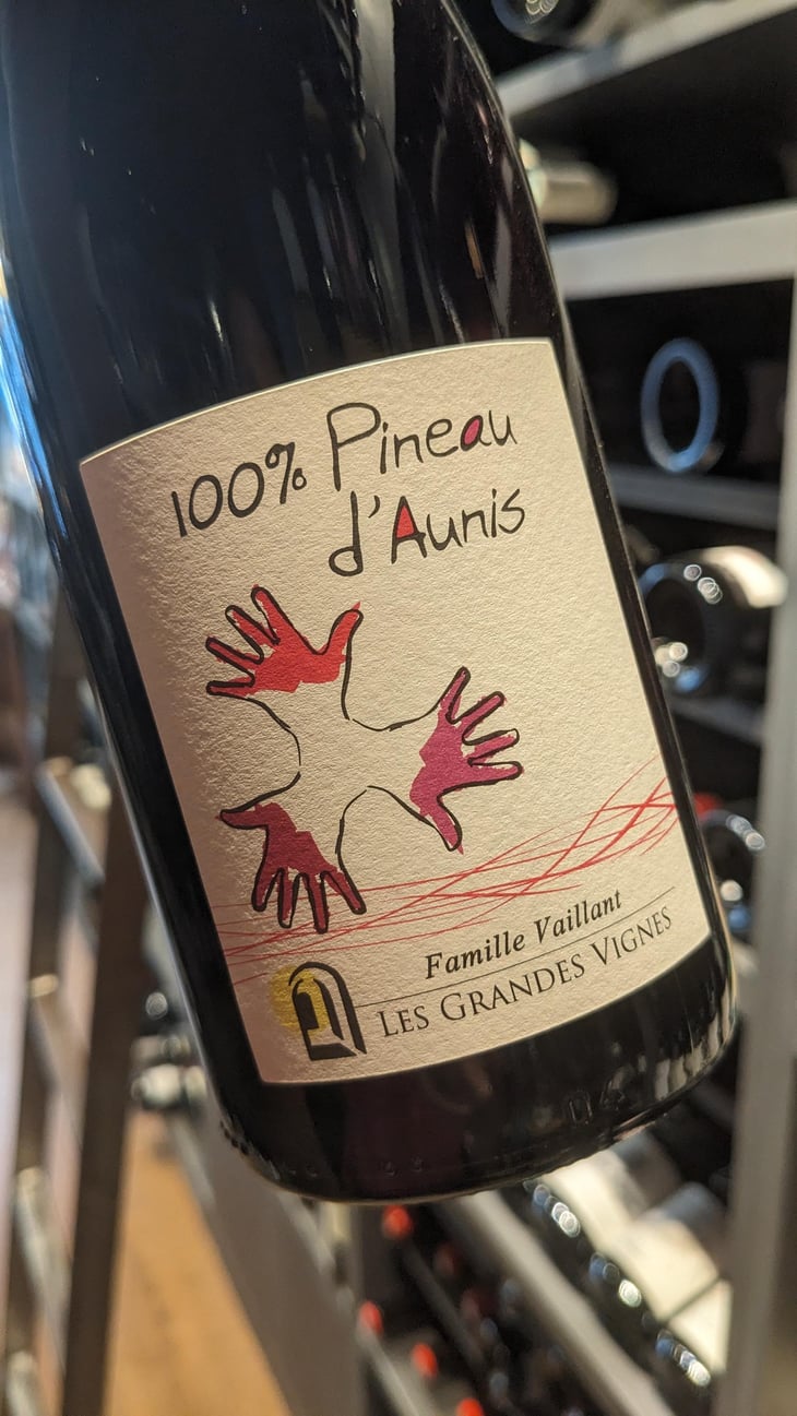 100% Pineau d'Aunis - Les Grandes Vignes - Laurence, Dominique & Jean-François Vaillant 