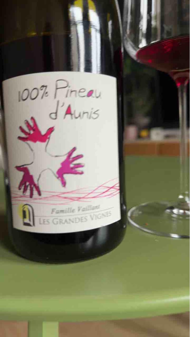 100% Pineau d'Aunis - Les Grandes Vignes - Laurence, Dominique & Jean-François Vaillant 