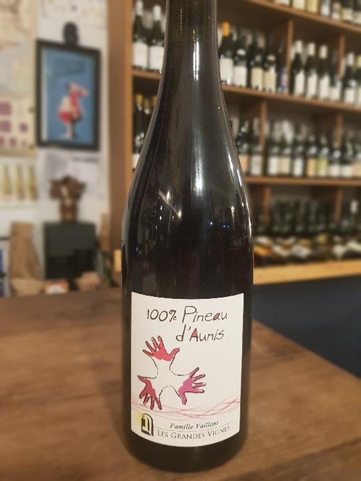 100% Pineau d'Aunis - Les Grandes Vignes - Laurence, Dominique & Jean-François Vaillant 