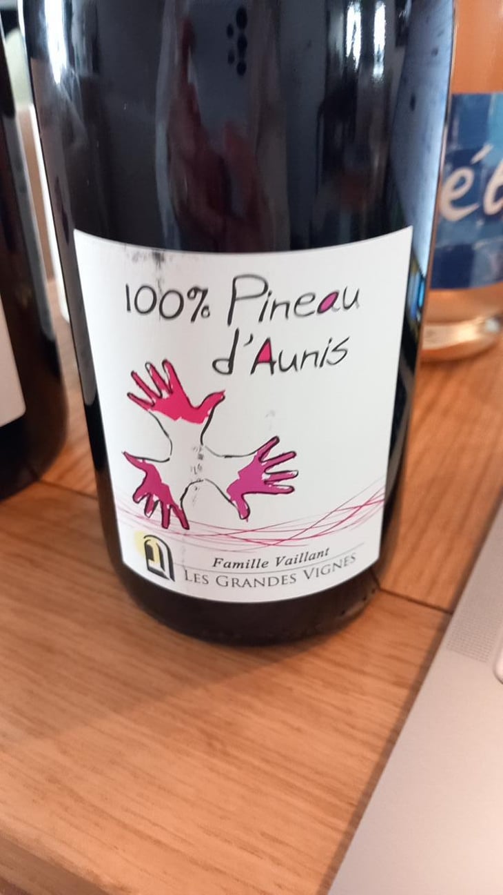 100% Pineau d'Aunis - Les Grandes Vignes - Laurence, Dominique & Jean-François Vaillant 