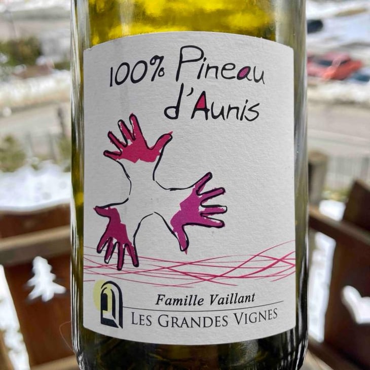 100% Pineau d'Aunis - Les Grandes Vignes - Laurence, Dominique & Jean-François Vaillant 