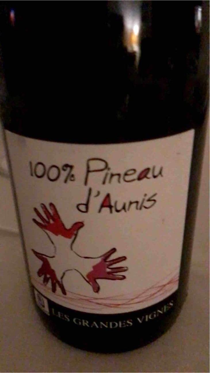 100% Pineau d'Aunis - Les Grandes Vignes - Laurence, Dominique & Jean-François Vaillant 