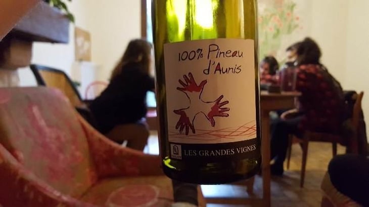 100% Pineau d'Aunis - Les Grandes Vignes - Laurence, Dominique & Jean-François Vaillant 