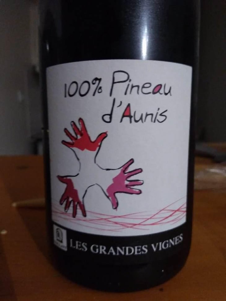100% Pineau d'Aunis - Les Grandes Vignes - Laurence, Dominique & Jean-François Vaillant 