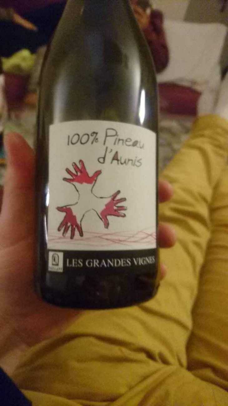 100% Pineau d'Aunis - Les Grandes Vignes - Laurence, Dominique & Jean-François Vaillant 