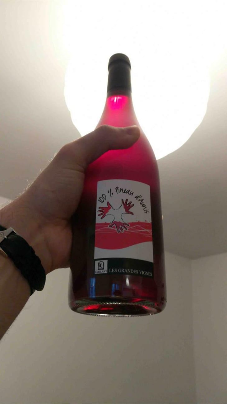 100% Pineau d'Aunis - Les Grandes Vignes - Laurence, Dominique & Jean-François Vaillant 