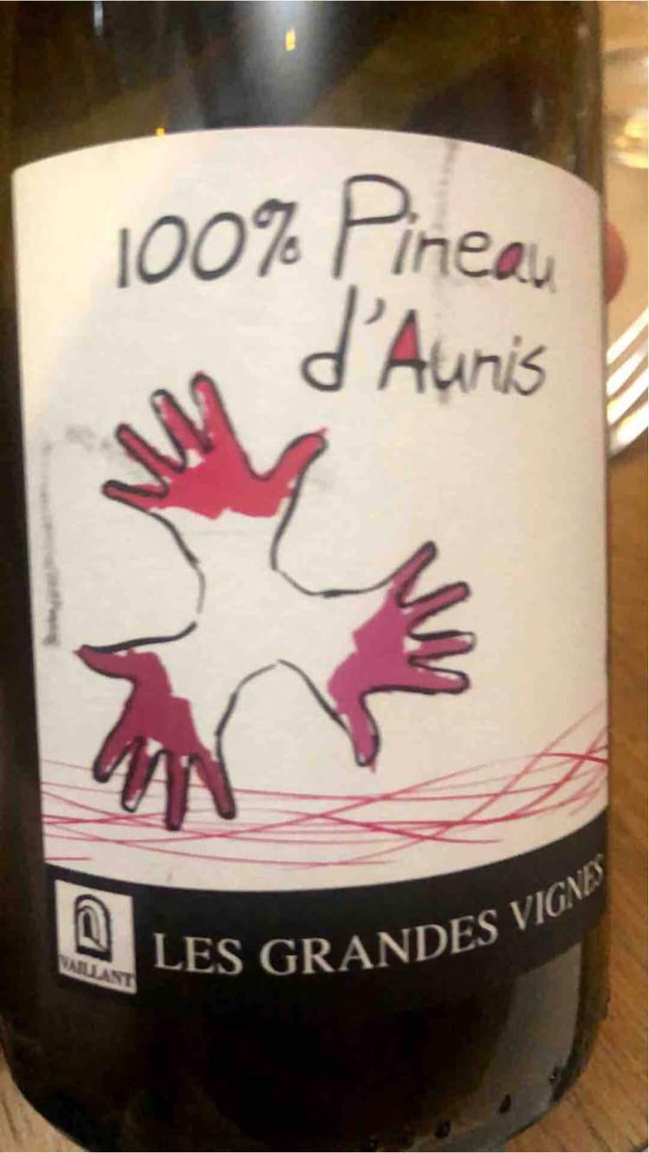 100% Pineau d'Aunis - Les Grandes Vignes - Laurence, Dominique & Jean-François Vaillant 