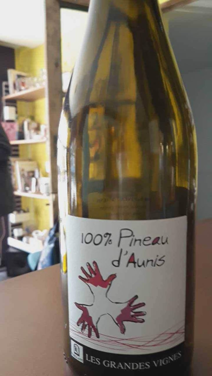 100% Pineau d'Aunis - Les Grandes Vignes - Laurence, Dominique & Jean-François Vaillant 