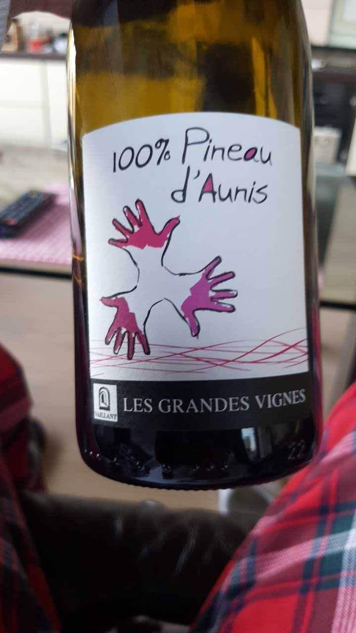 100% Pineau d'Aunis - Les Grandes Vignes - Laurence, Dominique & Jean-François Vaillant 