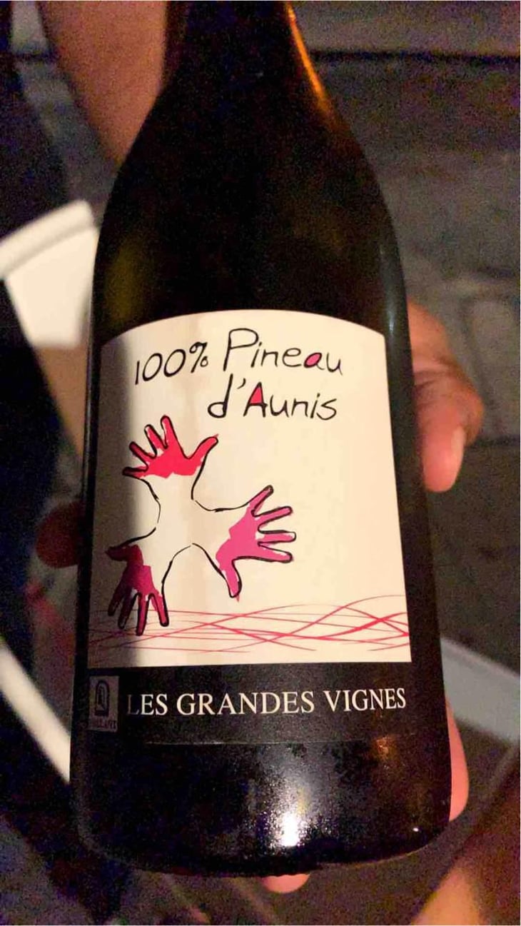 100% Pineau d'Aunis - Les Grandes Vignes - Laurence, Dominique & Jean-François Vaillant 