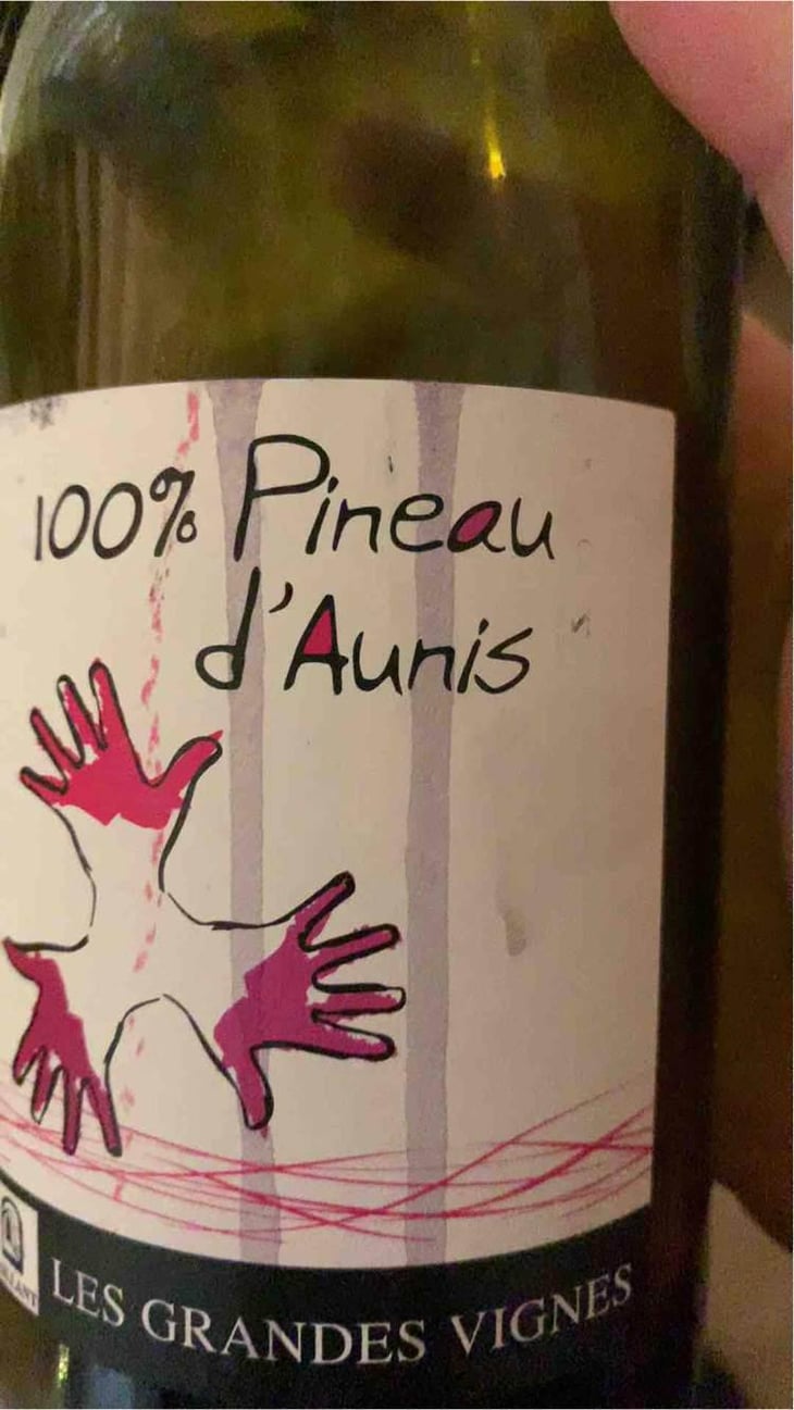 100% Pineau d'Aunis - Les Grandes Vignes - Laurence, Dominique & Jean-François Vaillant 