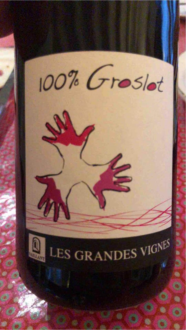100% Pineau d'Aunis - Les Grandes Vignes - Laurence, Dominique & Jean-François Vaillant 