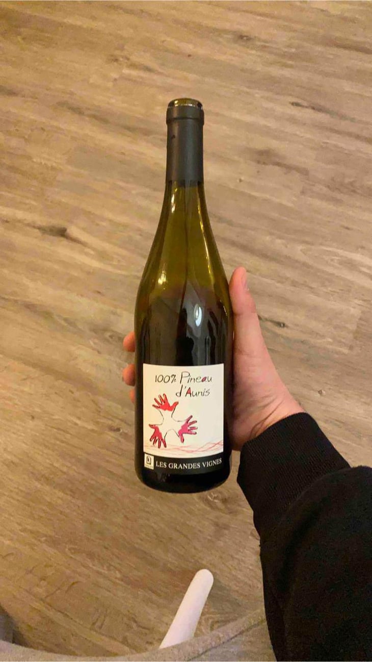 100% Pineau d'Aunis - Les Grandes Vignes - Laurence, Dominique & Jean-François Vaillant 