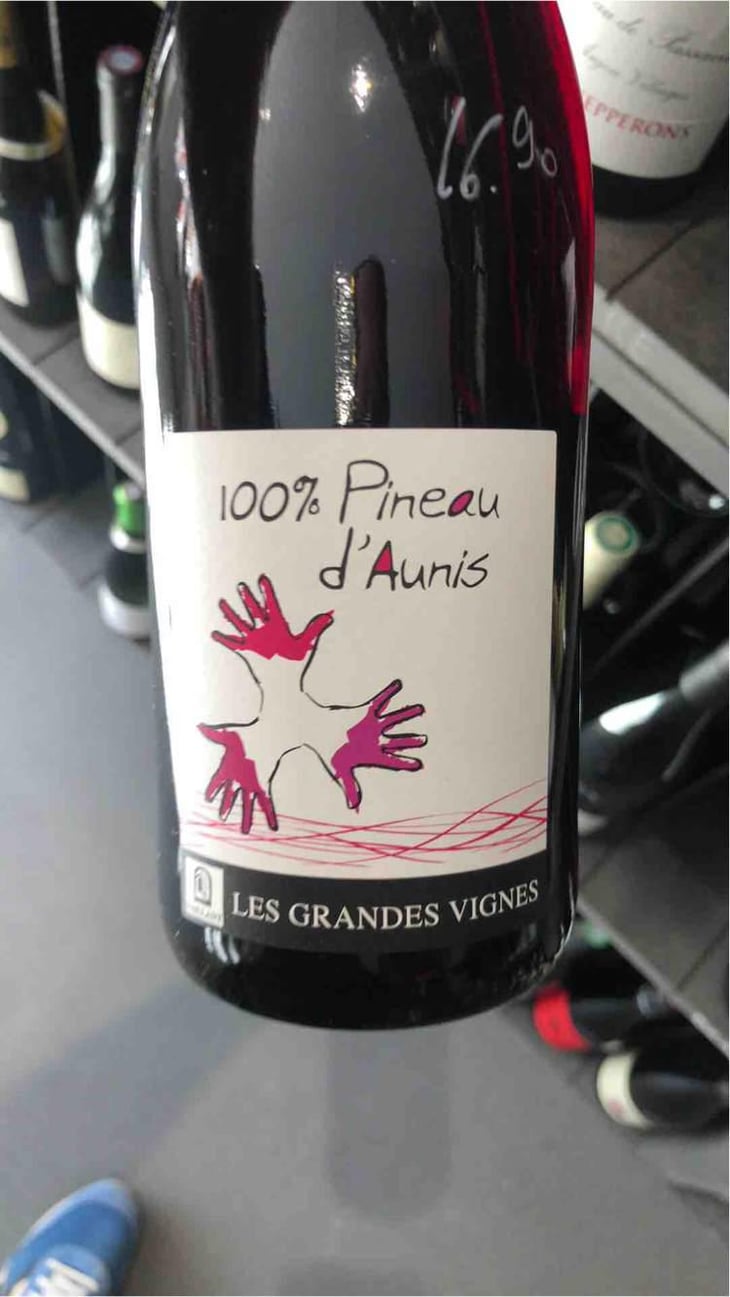 100% Pineau d'Aunis - Les Grandes Vignes - Laurence, Dominique & Jean-François Vaillant 