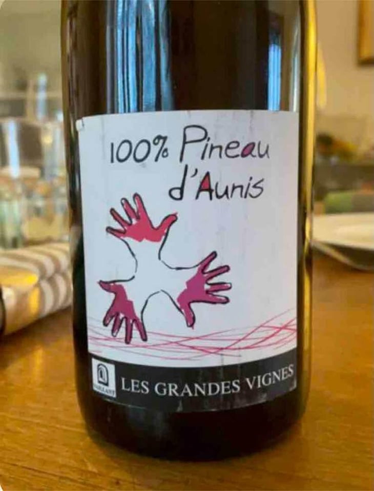 100% Pineau d'Aunis - Les Grandes Vignes - Laurence, Dominique & Jean-François Vaillant 