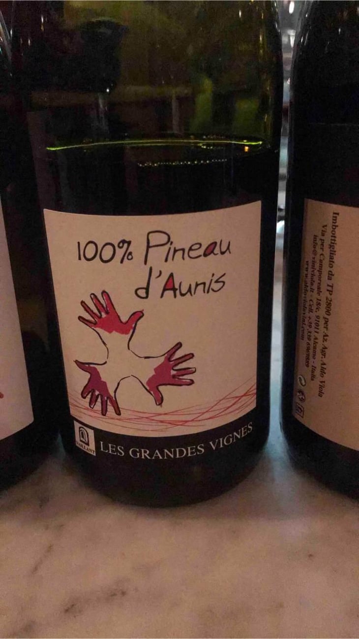 100% Pineau d'Aunis - Les Grandes Vignes - Laurence, Dominique & Jean-François Vaillant 