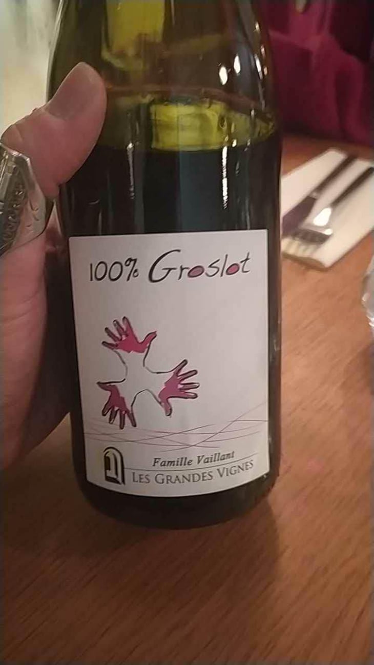 100% Pineau d'Aunis - Les Grandes Vignes - Laurence, Dominique & Jean-François Vaillant 