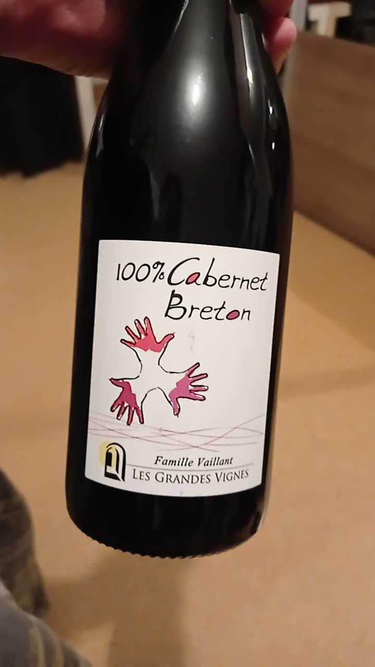 100% Pineau d'Aunis - Les Grandes Vignes - Laurence, Dominique & Jean-François Vaillant 