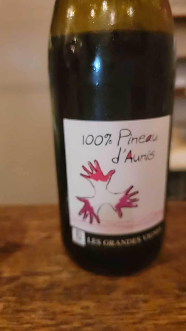 100% Pineau d'Aunis - Les Grandes Vignes - Laurence, Dominique & Jean-François Vaillant 