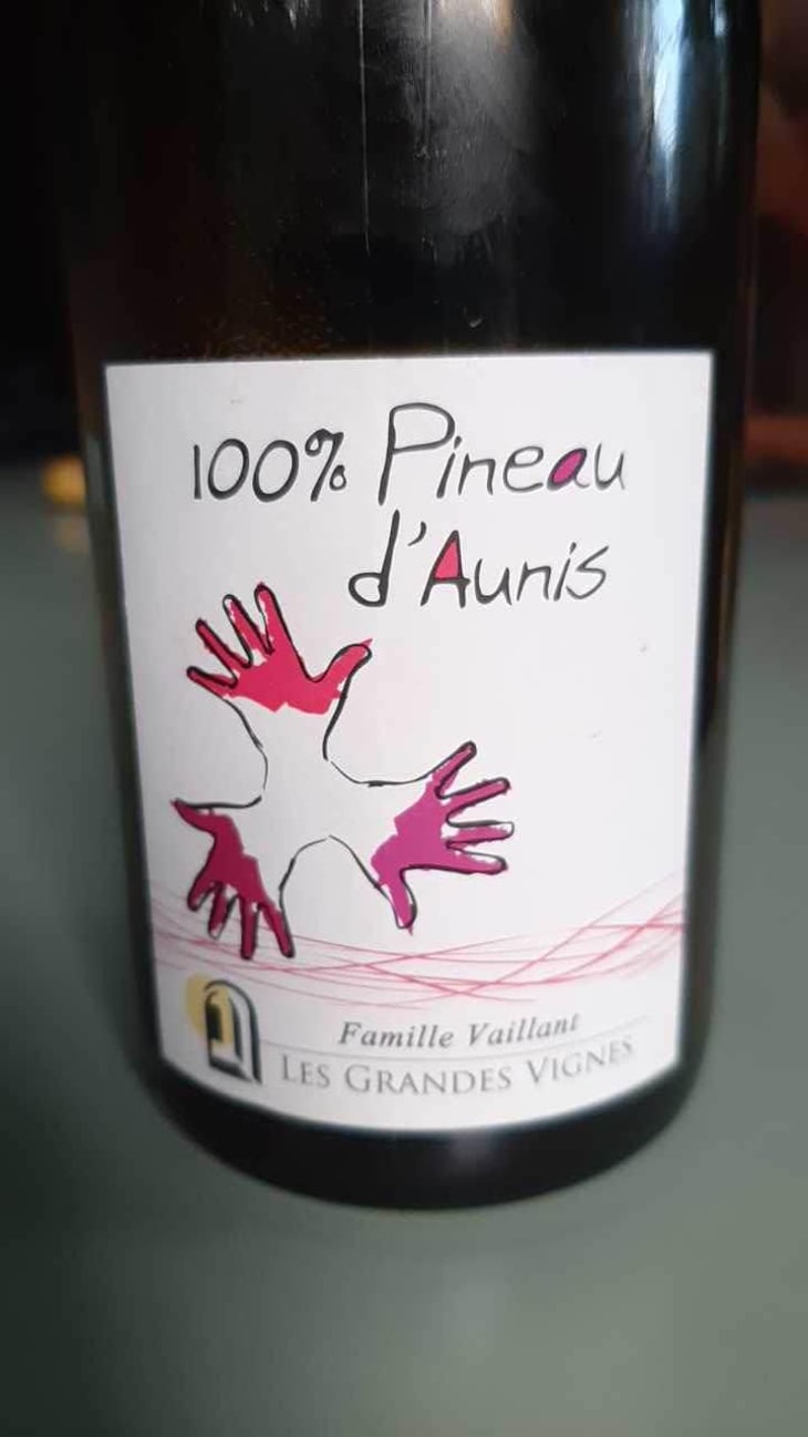 100% Pineau d'Aunis - Les Grandes Vignes - Laurence, Dominique & Jean-François Vaillant 