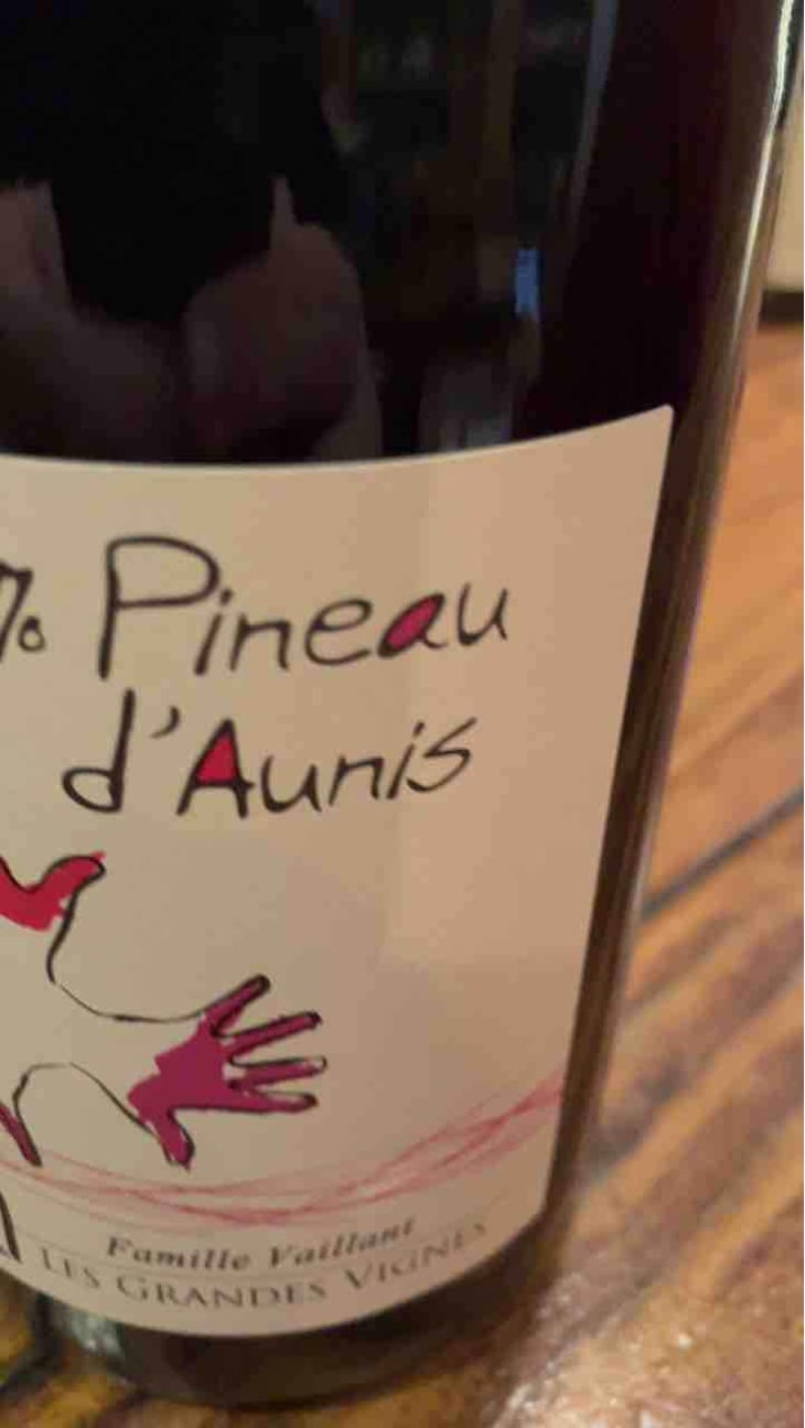 100% Pineau d'Aunis - Les Grandes Vignes - Laurence, Dominique & Jean-François Vaillant 