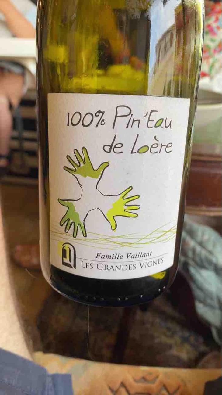 100% Pineau d'Aunis - Les Grandes Vignes - Laurence, Dominique & Jean-François Vaillant 