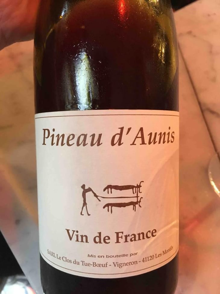 100% Pineau d'Aunis - Les Grandes Vignes - Laurence, Dominique & Jean-François Vaillant 