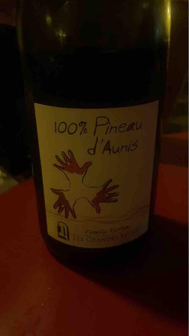 100% Pineau d'Aunis - Les Grandes Vignes - Laurence, Dominique & Jean-François Vaillant 