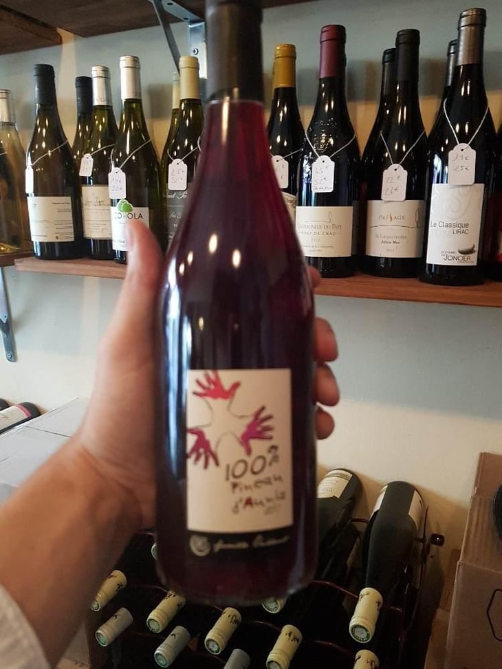 100% Pineau d'Aunis - Les Grandes Vignes - Laurence, Dominique & Jean-François Vaillant 