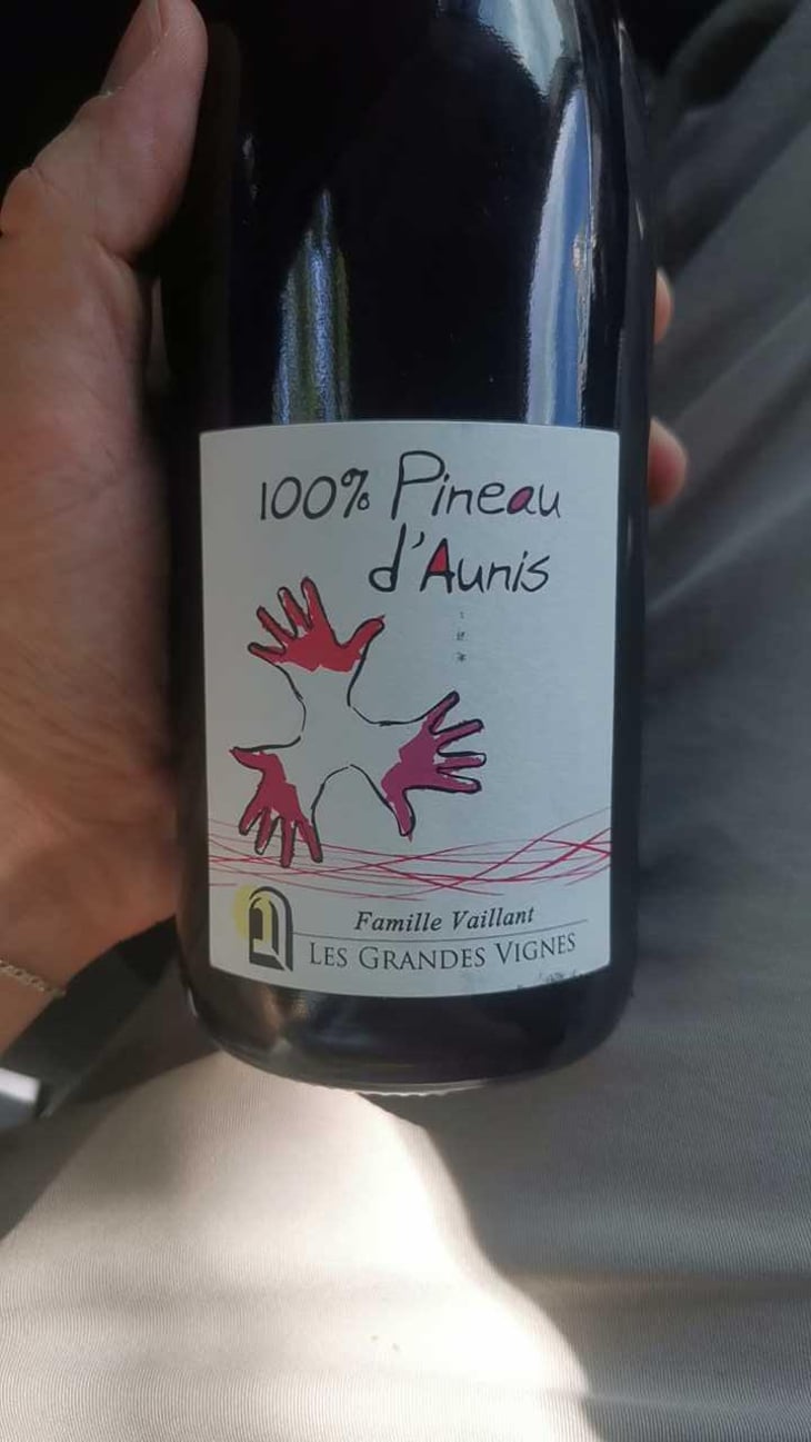 100% Pineau d'Aunis - Les Grandes Vignes - Laurence, Dominique & Jean-François Vaillant 