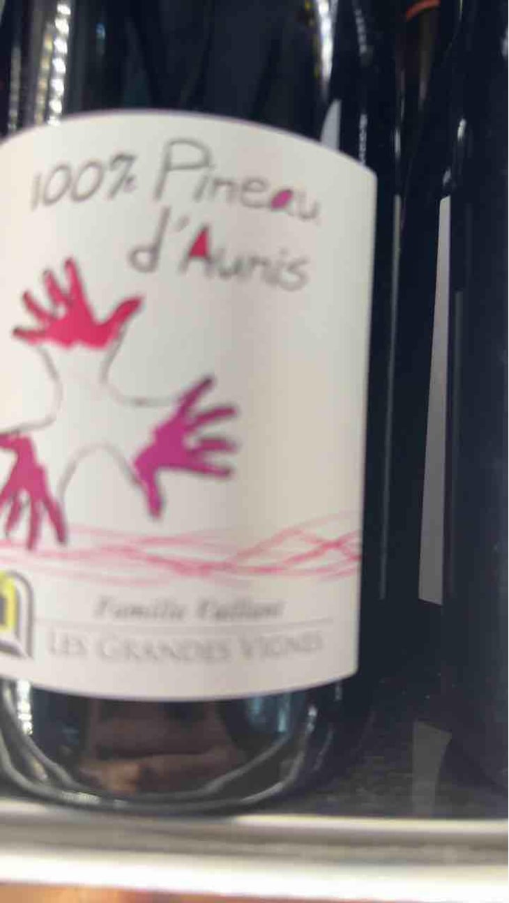 100% Pineau d'Aunis - Les Grandes Vignes - Laurence, Dominique & Jean-François Vaillant 