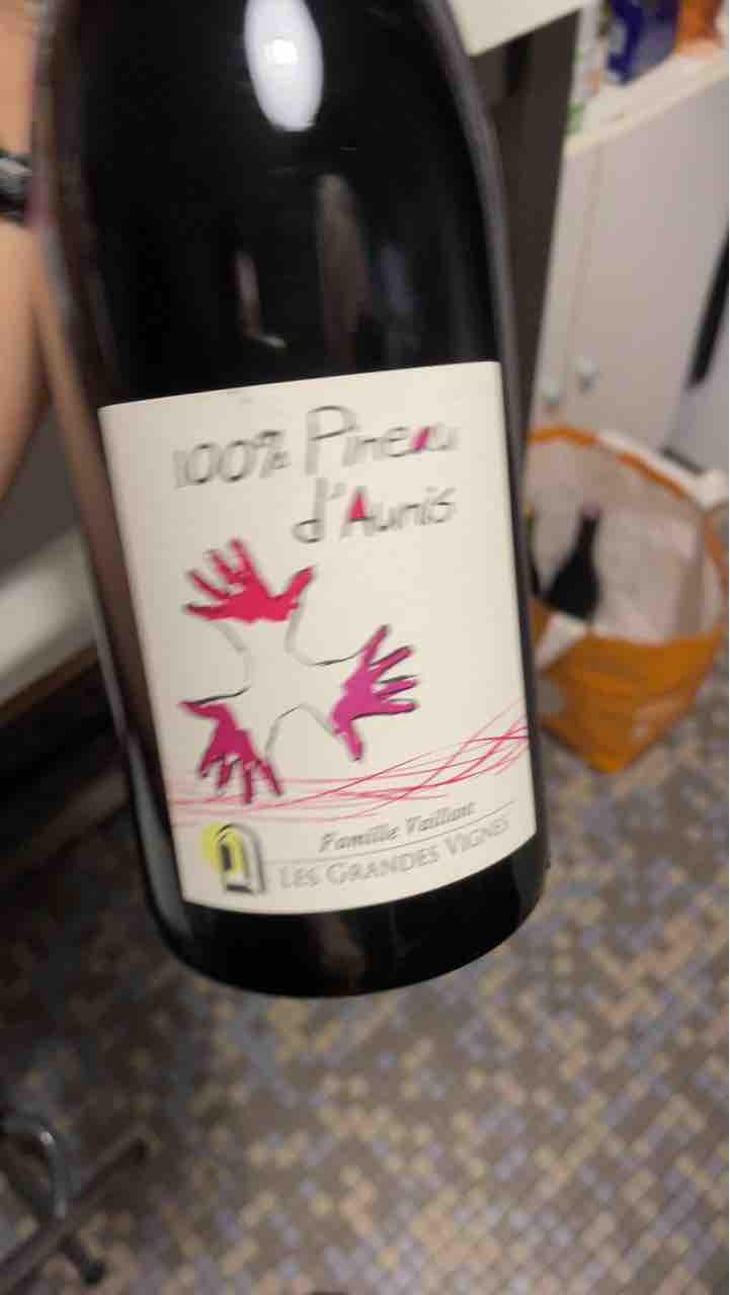 100% Pineau d'Aunis - Les Grandes Vignes - Laurence, Dominique & Jean-François Vaillant 