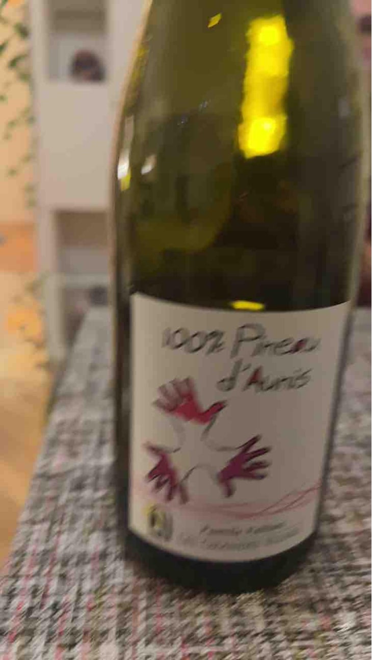 100% Pineau d'Aunis - Les Grandes Vignes - Laurence, Dominique & Jean-François Vaillant 