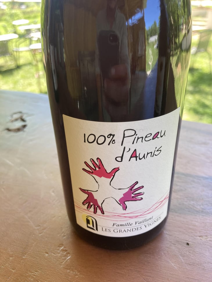 100% Pineau d'Aunis - Les Grandes Vignes - Laurence, Dominique & Jean-François Vaillant 