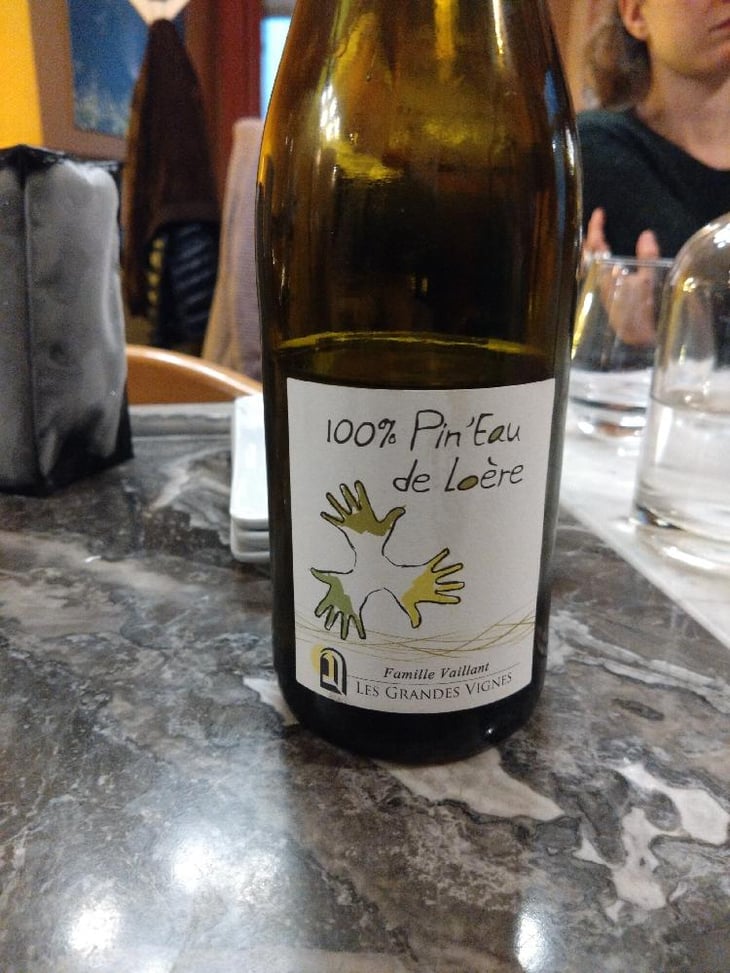 100% Pin'Eau de Loère - Les Grandes Vignes - Laurence, Dominique & Jean-François Vaillant 