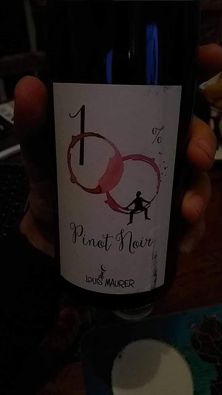 100% Pinot Noir - Louis Maurer - Louis Maurer 