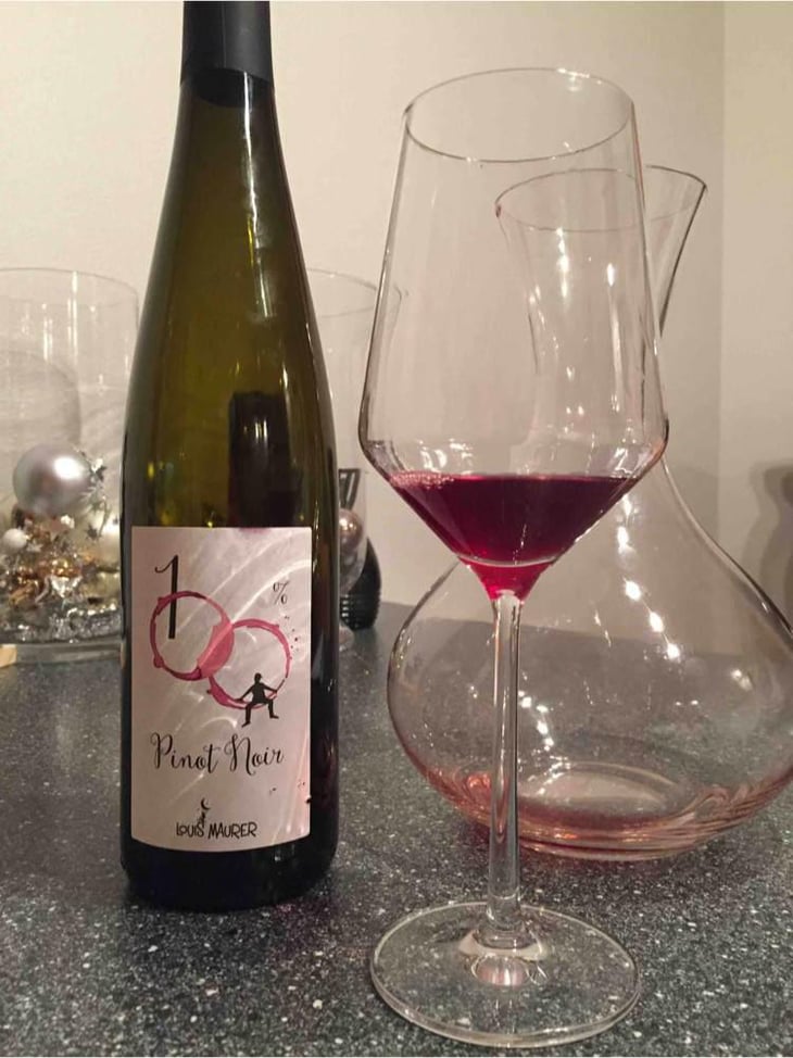 100% Pinot Noir - Louis Maurer - Louis Maurer 