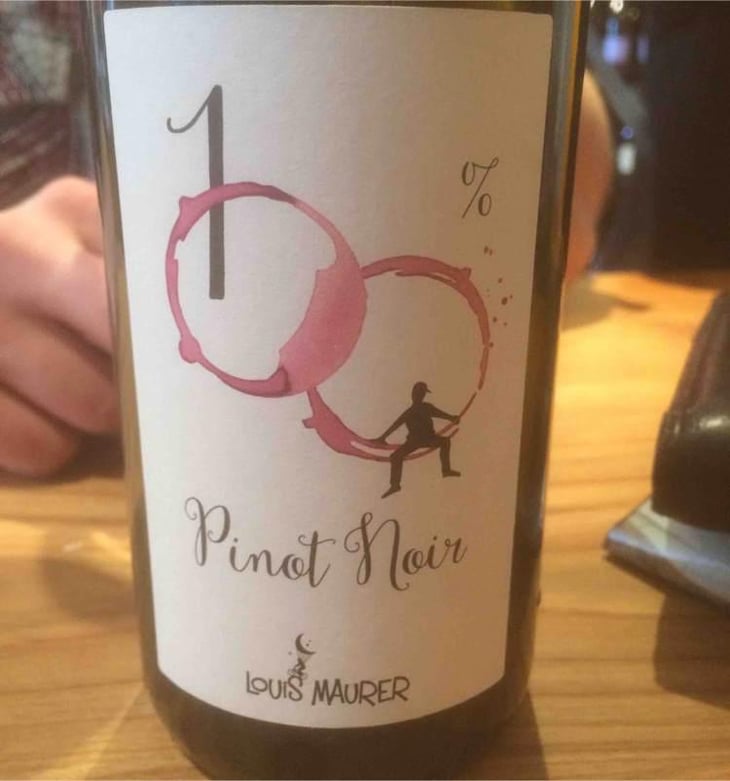 100% Pinot Noir - Louis Maurer - Louis Maurer 