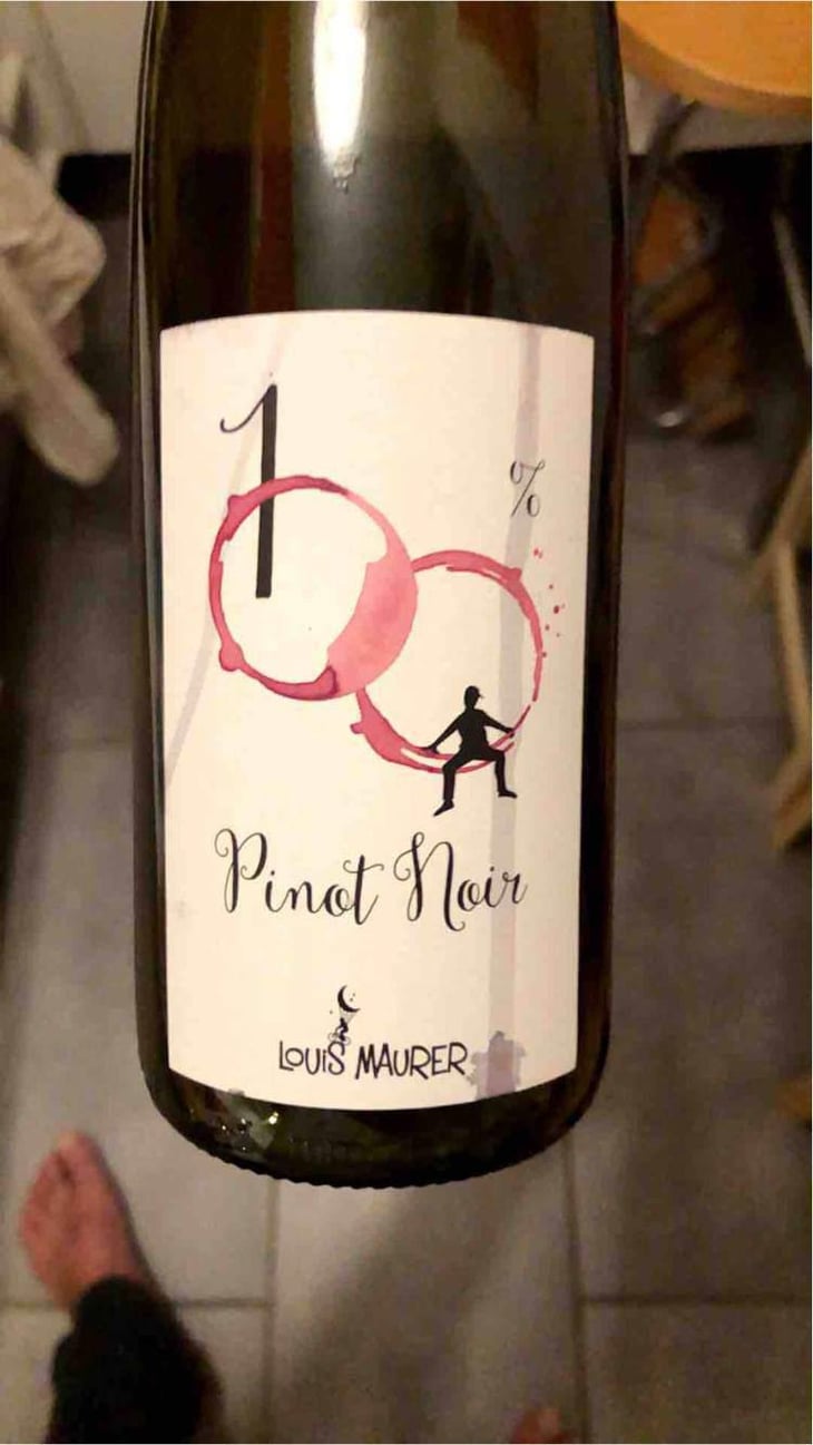 100% Pinot Noir - Louis Maurer - Louis Maurer 